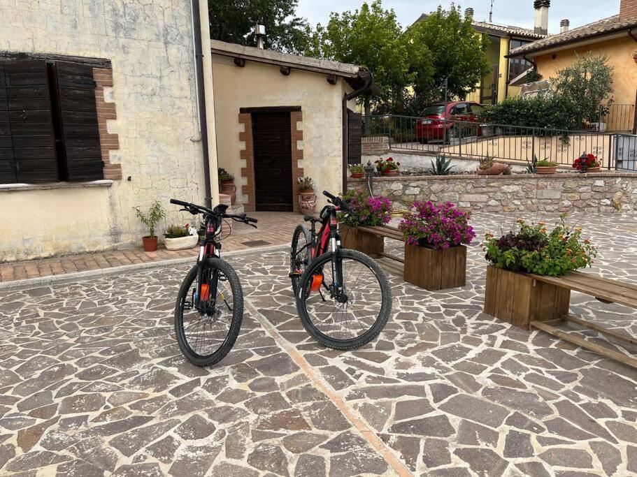 Casa Vacanze Vecchio Frantoio Residenza Leccino Spoleto Kültér fotó